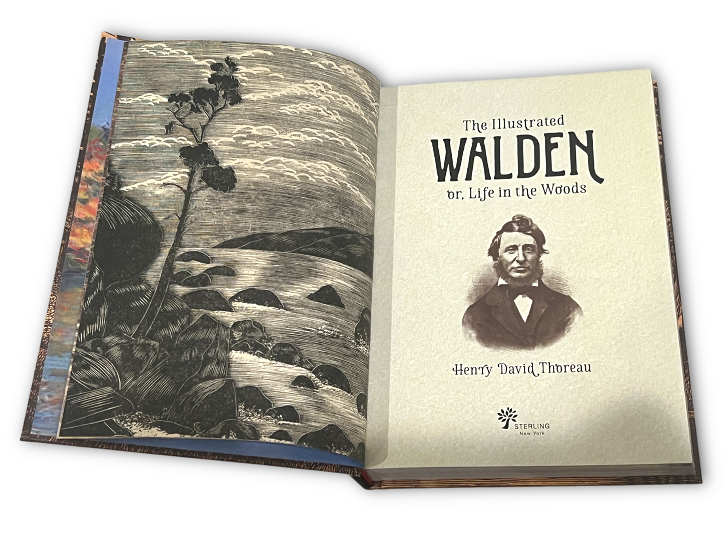 THE ILLUSTRATED WALDEN or Life in The Woods by Henry David Thoreau Collectible Deluxe Edition - Leather Bound Hardcover - Best Seller - Classic Book