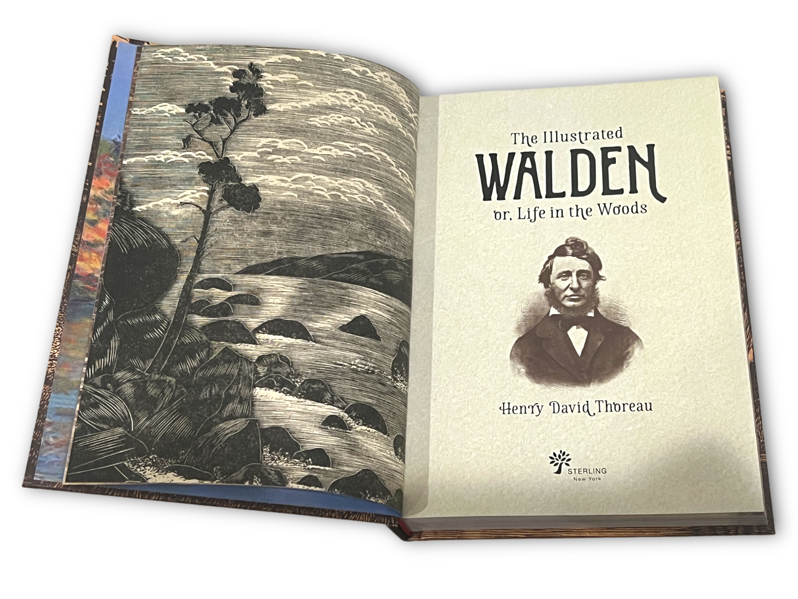 The Illustrated Walden: or, Life in the Woods by Henry David Thoreau - Full-Color Hardcover