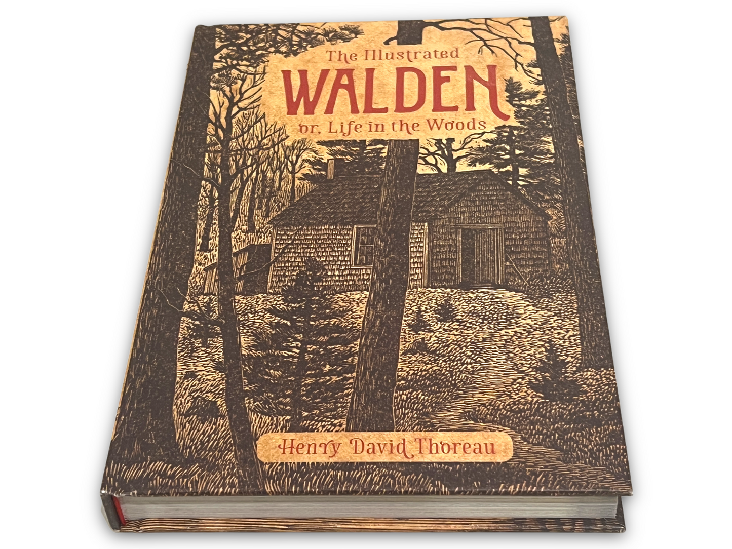 THE ILLUSTRATED WALDEN or Life in The Woods by Henry David Thoreau Collectible Deluxe Edition - Leather Bound Hardcover - Best Seller - Classic Book