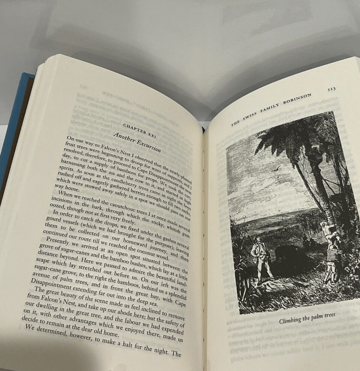 The SWISS FAMILY Robinson by Johann Rudolf Wyss - Collectible Special Gift Edition - Imitation Leather Cover - Best Seller - Classic Book