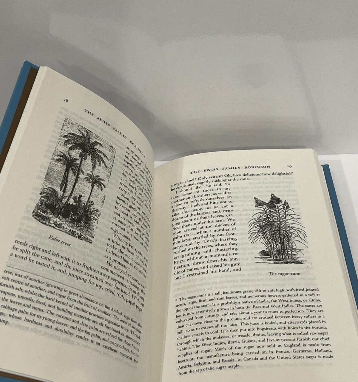 The SWISS FAMILY Robinson by Johann Rudolf Wyss - Collectible Special Gift Edition - Imitation Leather Cover - Best Seller - Classic Book