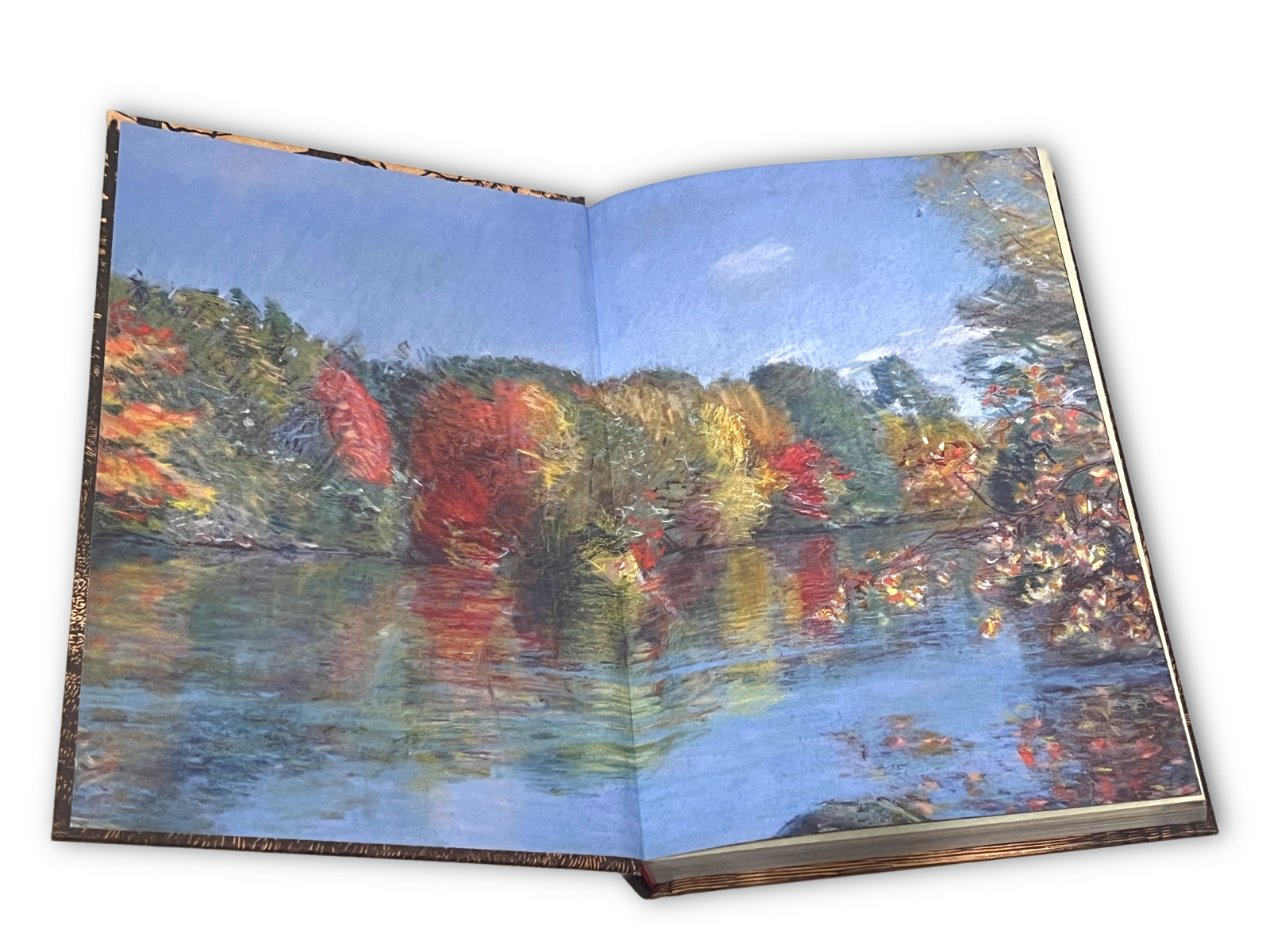 The Illustrated Walden: or, Life in the Woods by Henry David Thoreau - Full-Color Hardcover