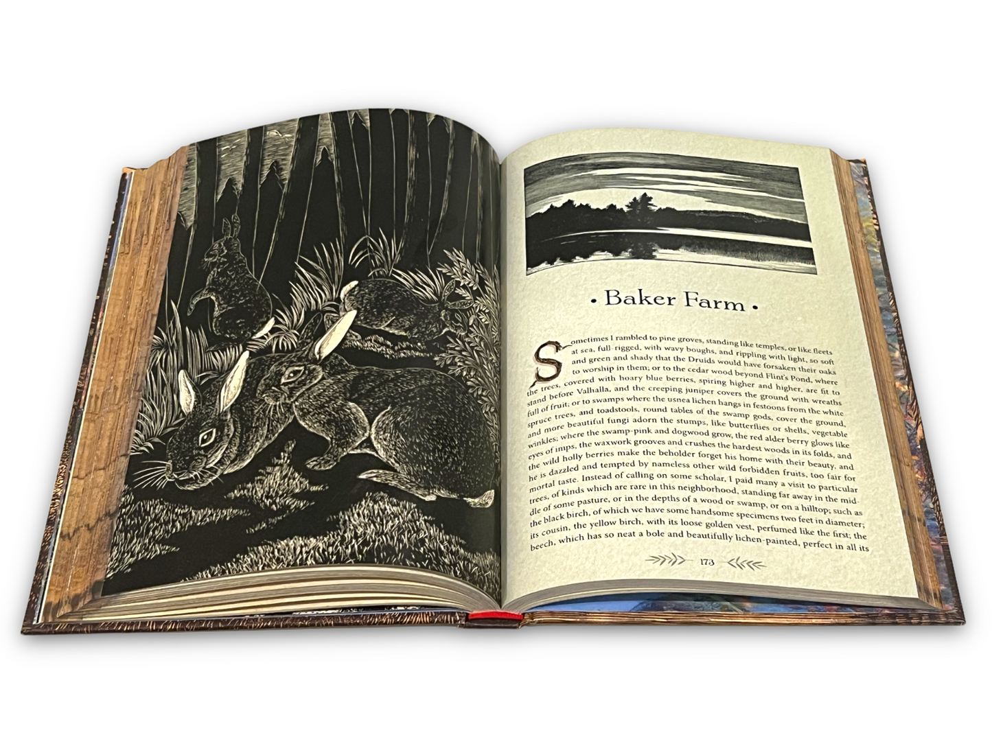 THE ILLUSTRATED WALDEN or Life in The Woods by Henry David Thoreau Collectible Deluxe Edition - Leather Bound Hardcover - Best Seller - Classic Book