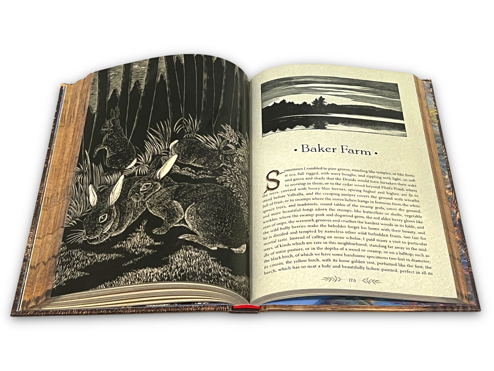 The Illustrated Walden: or, Life in the Woods by Henry David Thoreau - Full-Color Hardcover